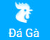 xsqng