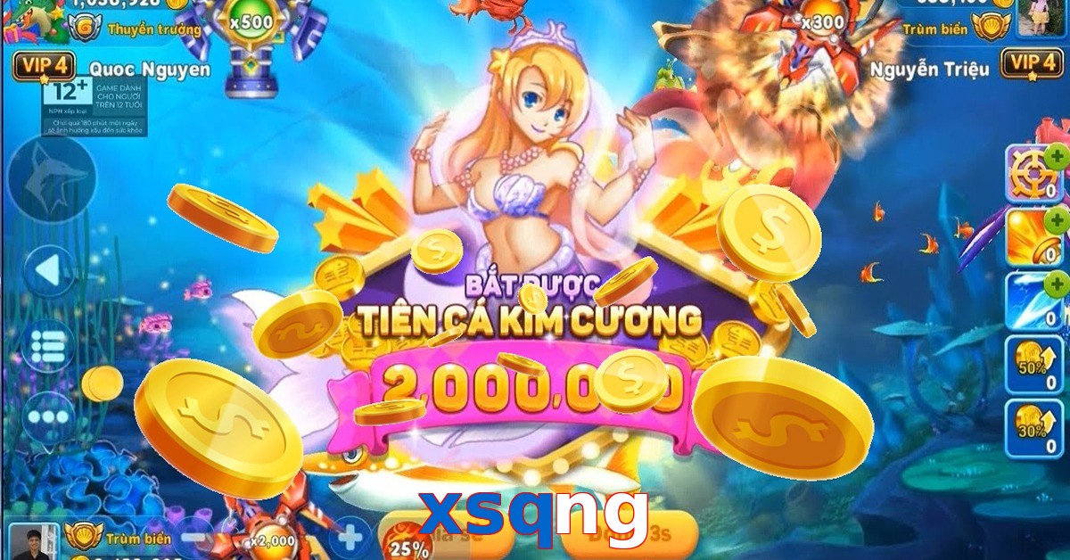 xsqng